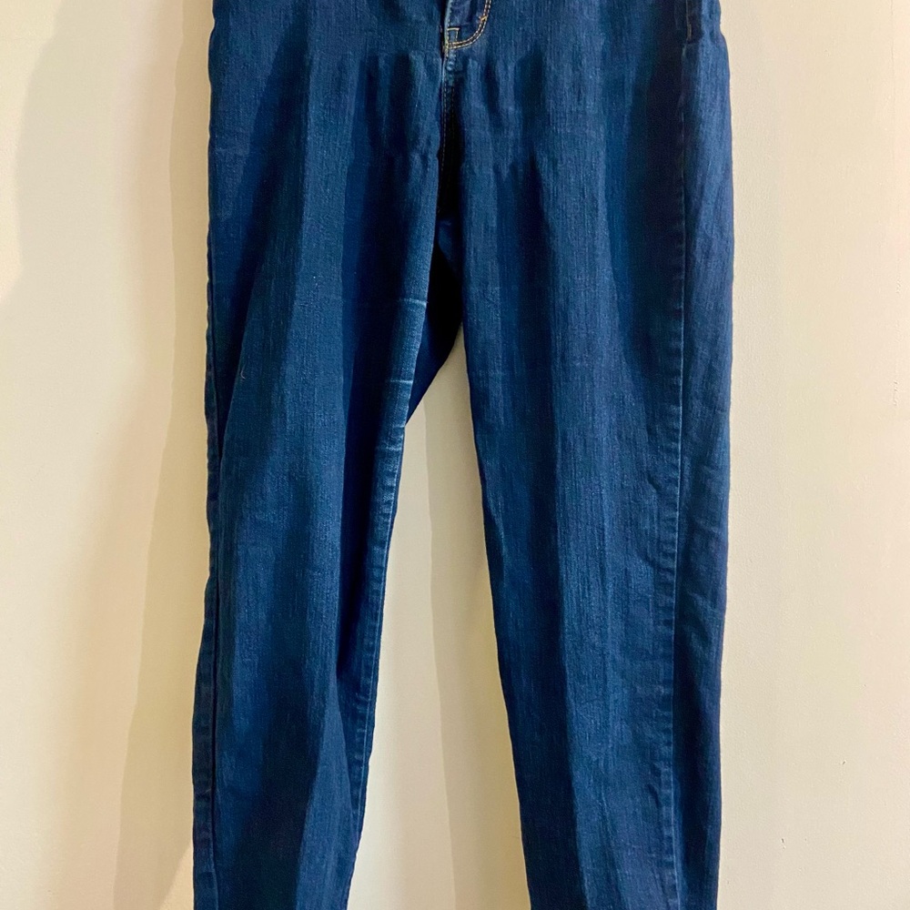 Style & Co. Blue Skinny Jeans Classic Fit